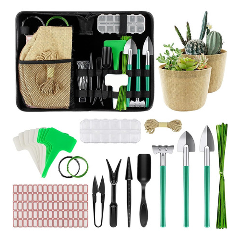 Kit Herramientas Esencial de Plantas Suculentas y Cactus 1