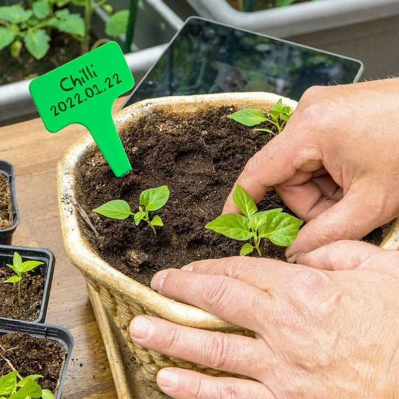 Kit Herramientas Esencial de Plantas Suculentas y Cactus 5