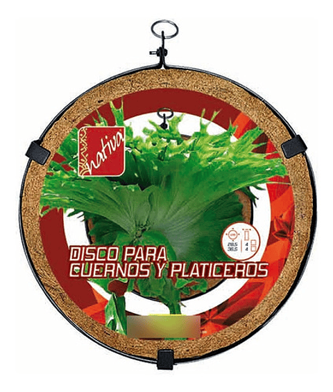 Maceta Tipo Disco Para Helecho Cuerno 36cm diamentro