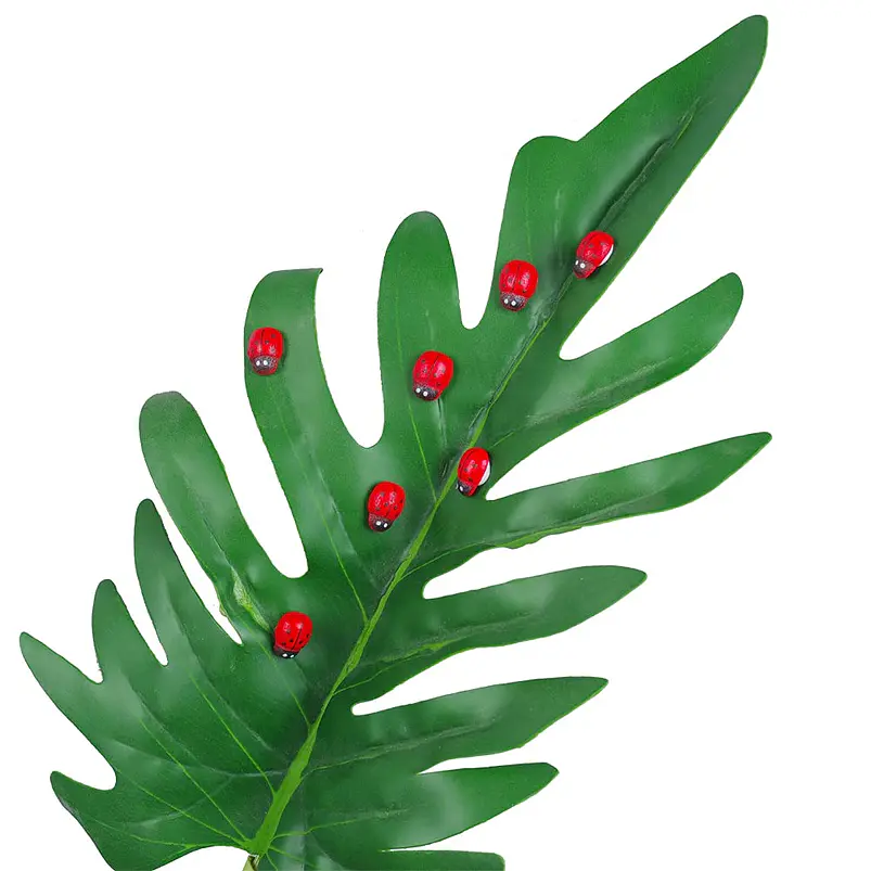 Mini Figuras Decorativas Terrario Jardin De Hadas x20 piezas 4