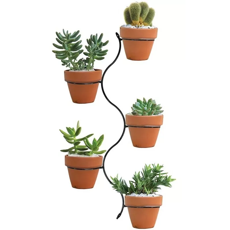 Soporte De Macetas Pared Multiple x5 Puestos más maceta Arcilla 1