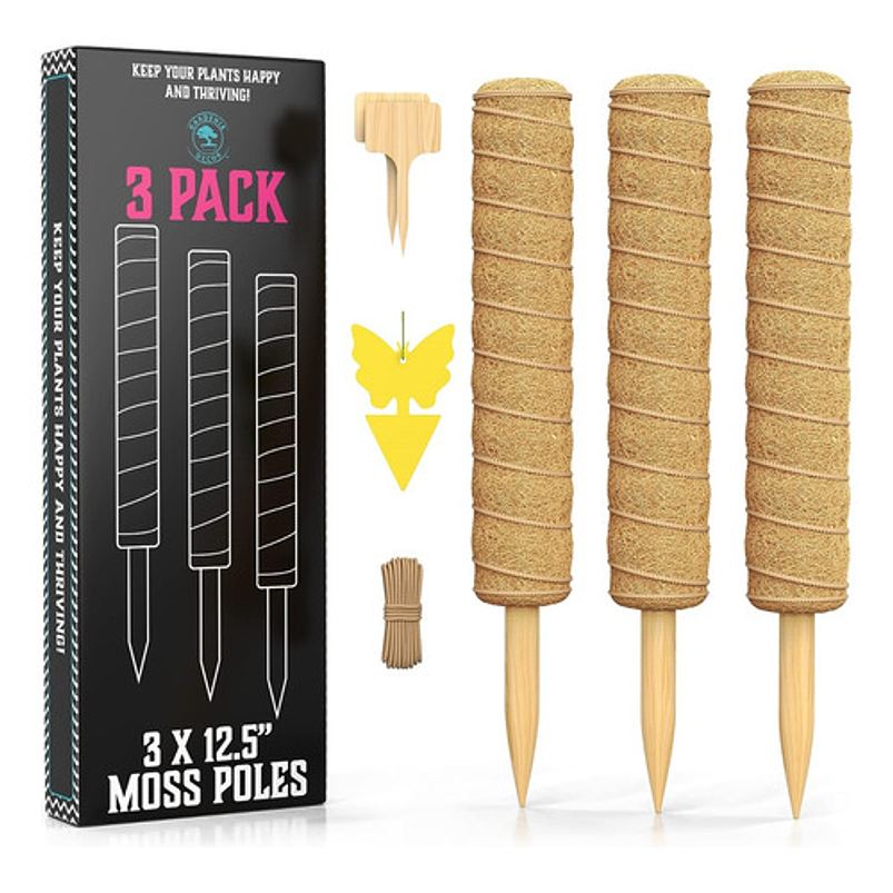 Soporte en Musgo Coco Plantas Trepadoras x3 Piezas más accesorios 1