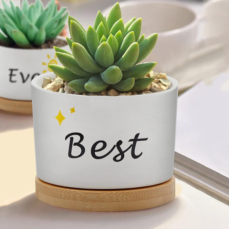 Juego Macetas Cerámica Cactus Suculenta x3 piezas  Diseño Amigos 4