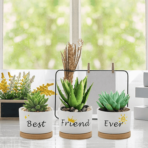 Juego Macetas Cerámica Cactus Suculenta x3 piezas  Diseño Amigos