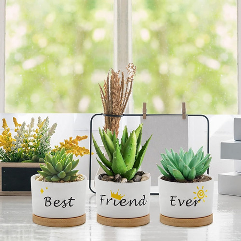Juego Macetas Cerámica Cactus Suculenta x3 piezas  Diseño Amigos 2