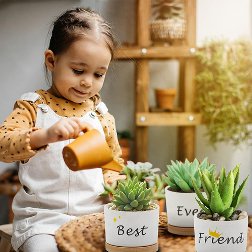 Juego Macetas Cerámica Cactus Suculenta x3 piezas  Diseño Amigos 5