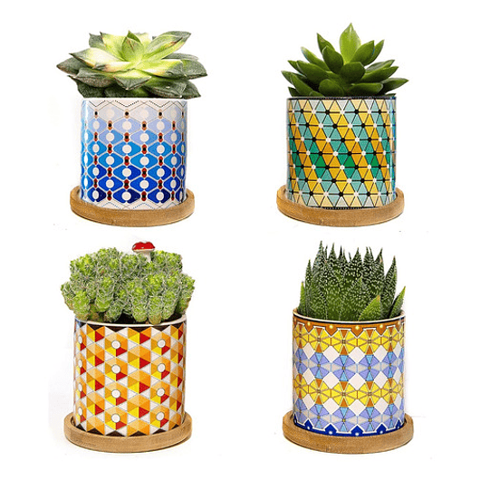 Juego Macetas Cerámica Premium Cactus Y Suculentas x4 Piezas 1