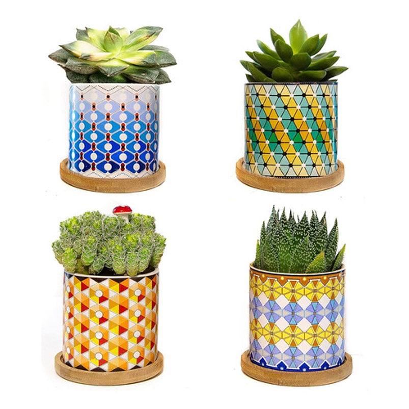 Juego Macetas Cerámica Premium Cactus Y Suculentas x4 Piezas 1