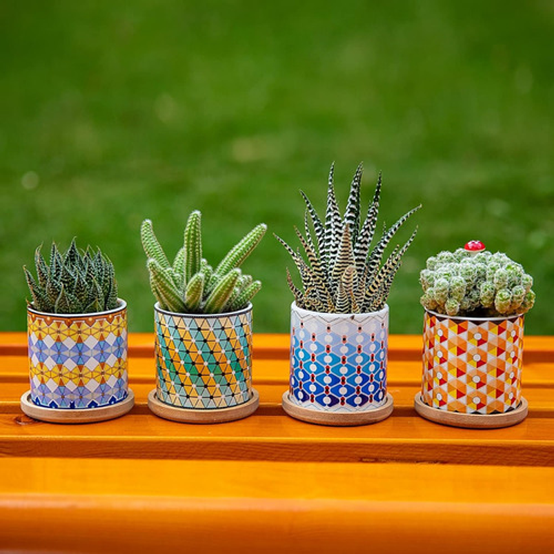 Juego Macetas Cerámica Premium Cactus Y Suculentas x4 Piezas 3