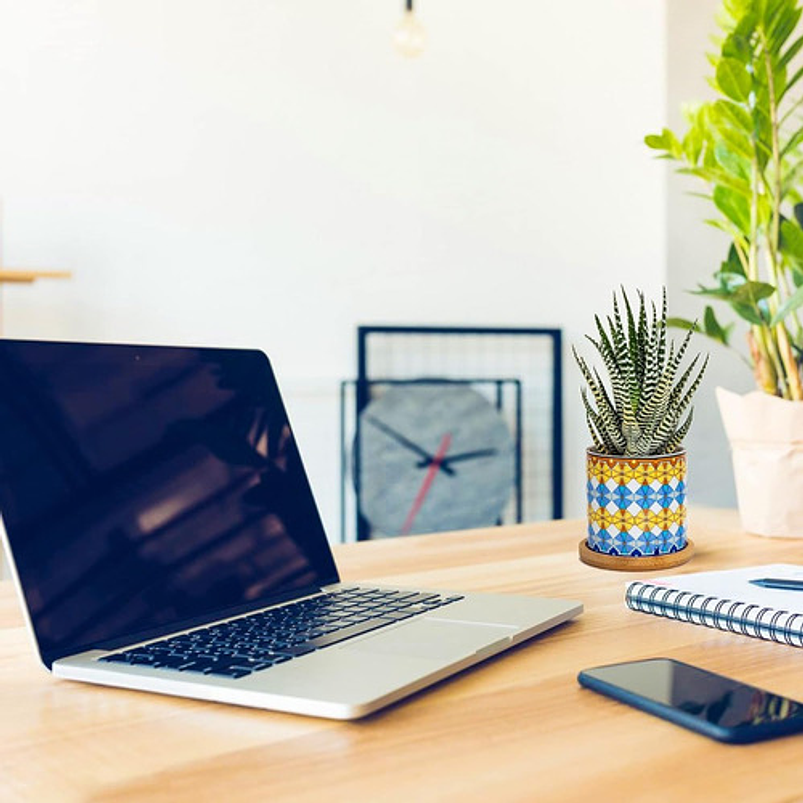 Juego Macetas Cerámica Premium Cactus Y Suculentas x4 Piezas 6