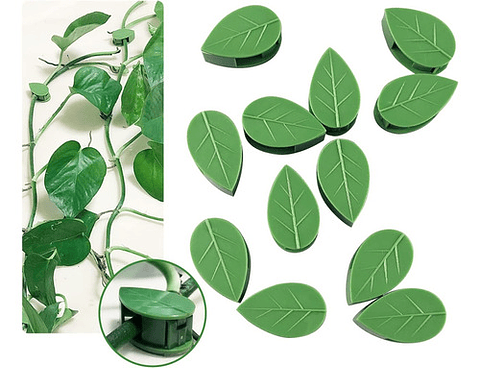 Gancho De Amarre De Plantas, Hortalizas De Pared X 20 Piezas