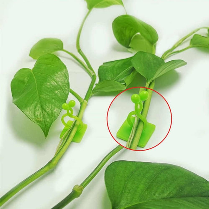Clip Gancho De Amarre De Plantas, Hortalizas De Pared X 10pz 7