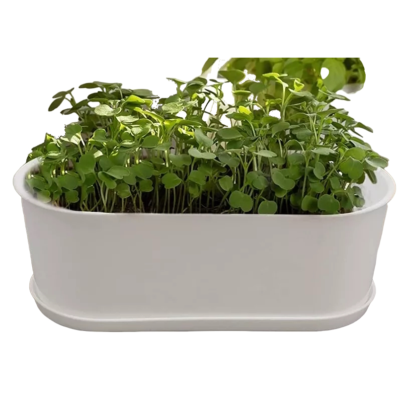 Maceta De Plantas Ovalada más plato Blanca Abs Cactus Suculenta 1