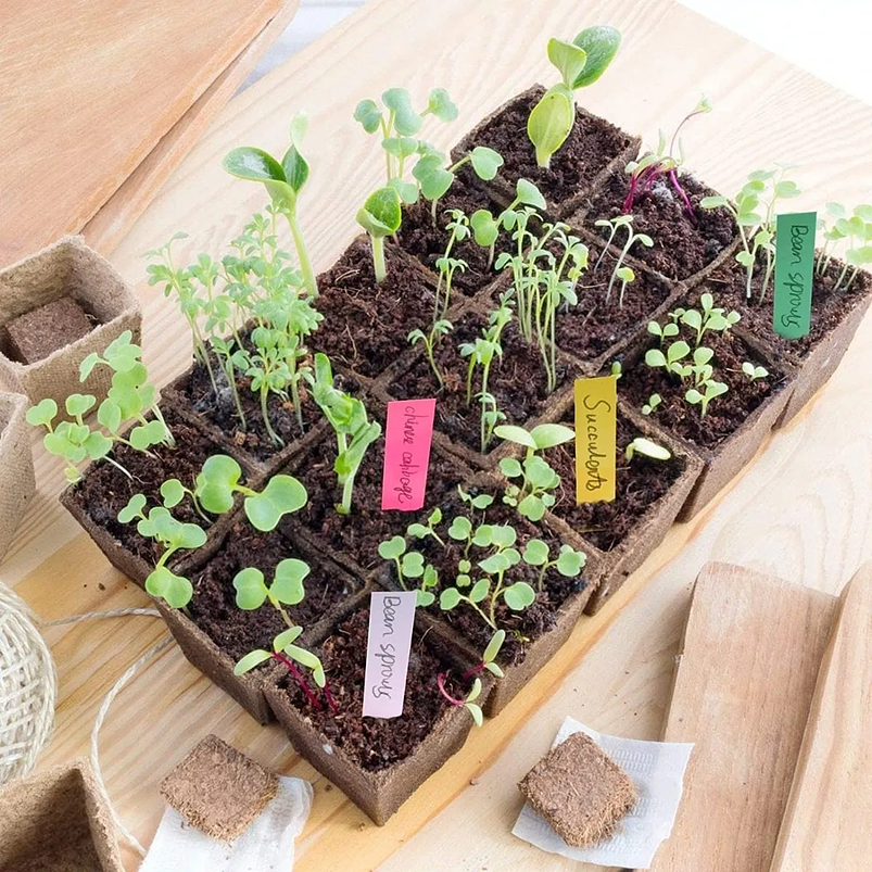 Etiqueta De Plantas Plástica Marcar Rectangular x100 Unidades 3