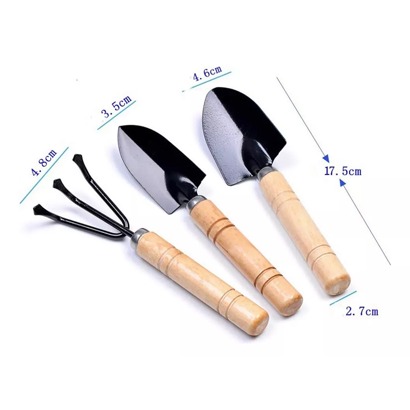 Juego Herramientas x3 Piezas Jardín Cuidado Suculenta Madera 3