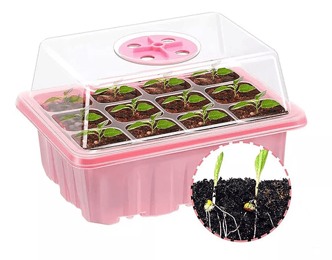 Bandeja Germinación Semillas Plantas Plástica mas cúpula x01 Pieza