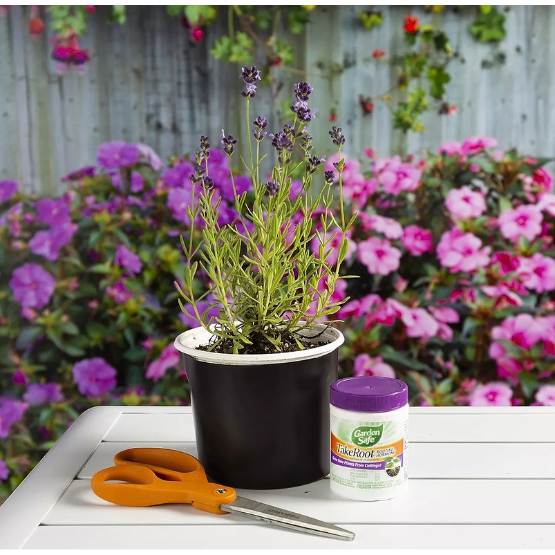 Enraizante De Plantas Hormonas Natural Garden Safe 56,6gr 5