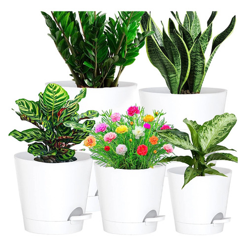 Juego Macetas Plástica Sistema Autoriego x5 piezas Tamaño Escala 7