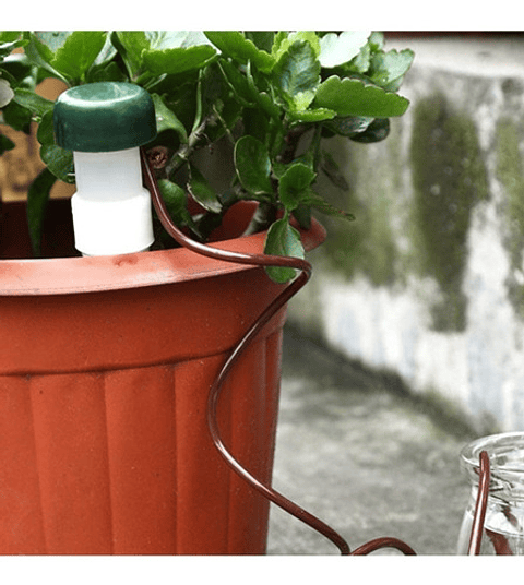 Estacas De Riego Automático Para Plantas X5 Unidades