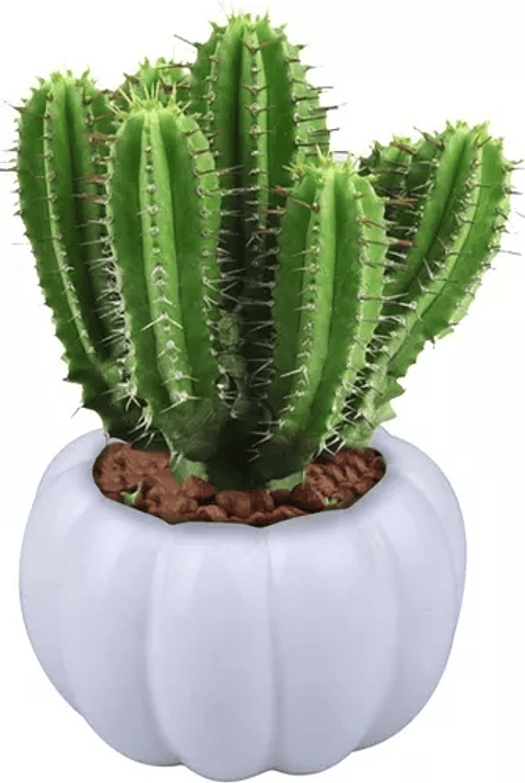 Soporte en Bambu más Macetas Cerámica x3 Premium de Plantas