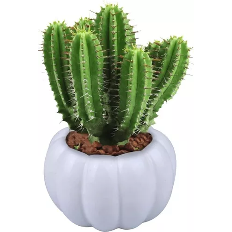 Soporte en Bambu más Macetas Cerámica x3 Premium de Plantas 2