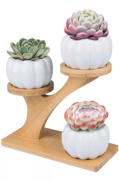 Soporte en Bambu más Macetas Cerámica x3 Premium de Plantas