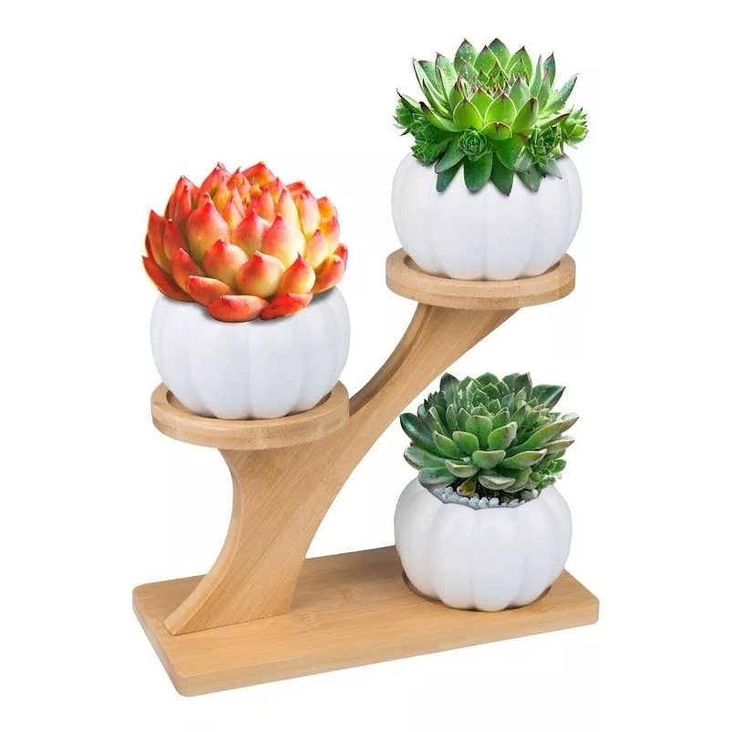 Soporte en Bambu más Macetas Cerámica x3 Premium de Plantas 5