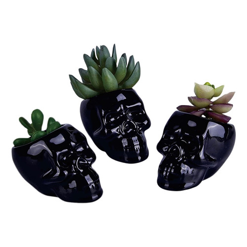 Juego Macetas x3 Unidades Cerámica Premium Diseño Calavera 5