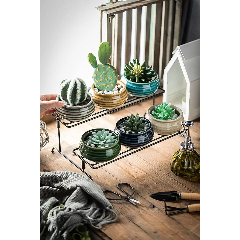 Juego Macetas Cerámica Premiun Suculenta x6 Piezas más soporte Mesa 3