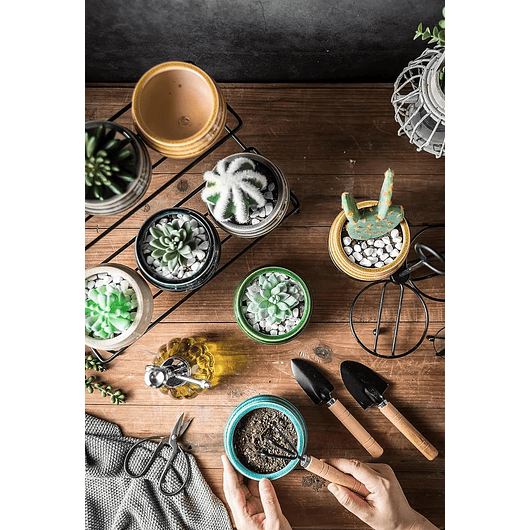 Juego Macetas Cerámica Premiun Suculenta x6 Piezas más soporte Mesa 4
