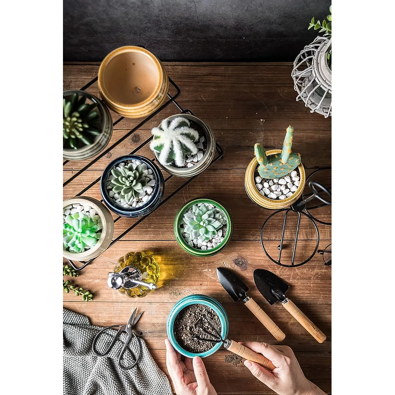 Juego Macetas Cerámica Premiun Suculenta x6 Piezas más soporte Mesa 4