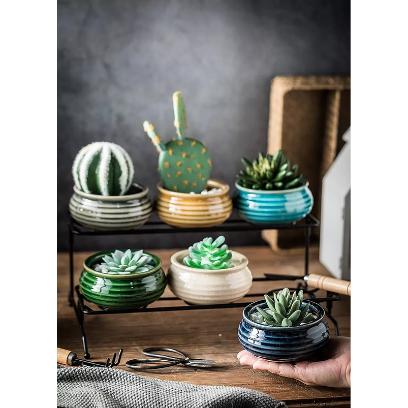 Juego Macetas Cerámica Premiun Suculenta x6 Piezas más soporte Mesa 5