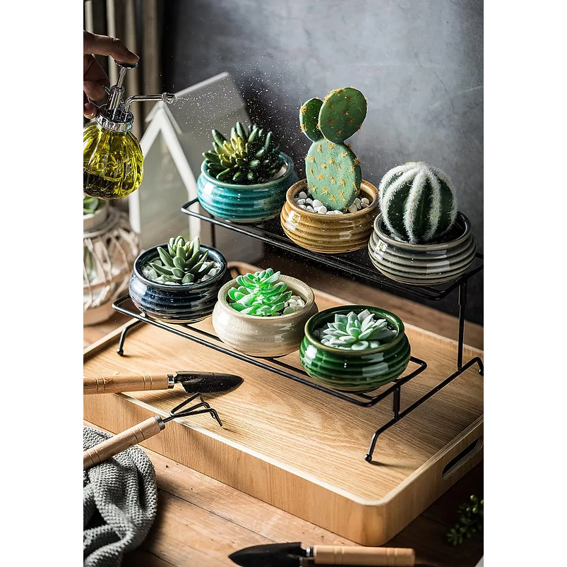 Juego Macetas Cerámica Premiun Suculenta x6 Piezas más soporte Mesa 6