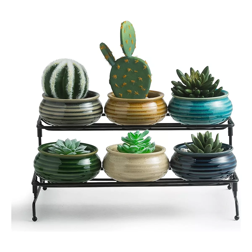 Juego Macetas Cerámica Premiun Suculenta x6 Piezas más soporte Mesa 1