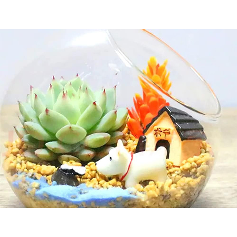 Kit Decorativo Plantas Terrario Jardín De Hadas Bonsai 105 piezas 3