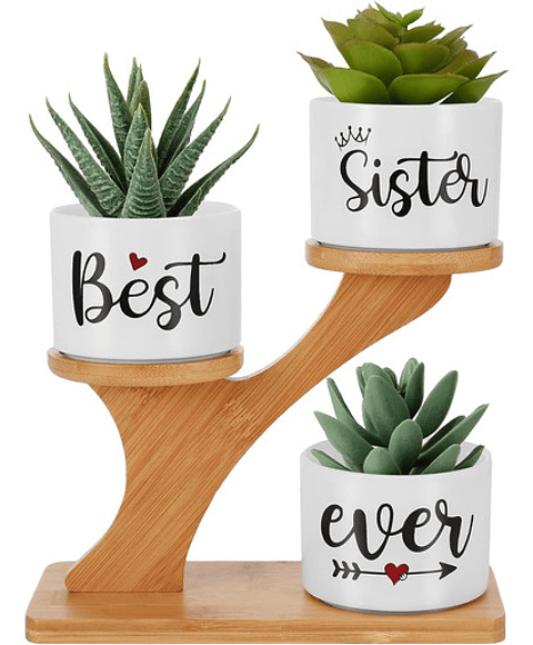 Soporte en Bambu más macetas Cerámica de Plantas x3 Piezas Hermana