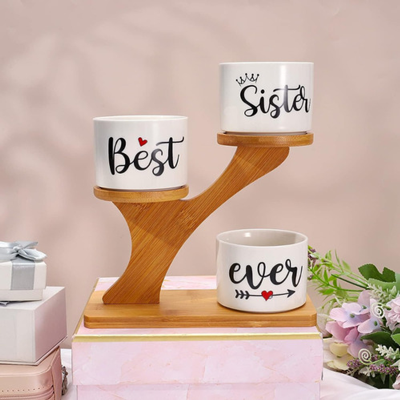 Soporte en Bambu más macetas Cerámica de Plantas x3 Piezas Hermana 4