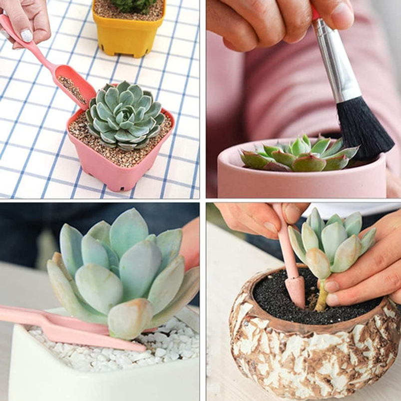 Kit Herramientas de Plantas Cactus Suculenta y Bonsai 4