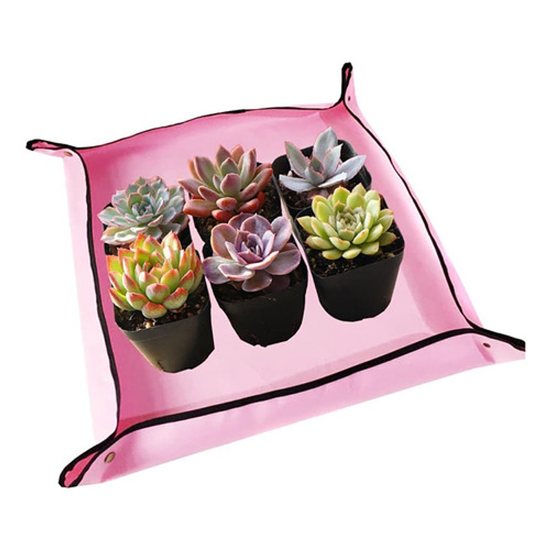 Kit Herramientas de Plantas Cactus Suculenta y Bonsai 6