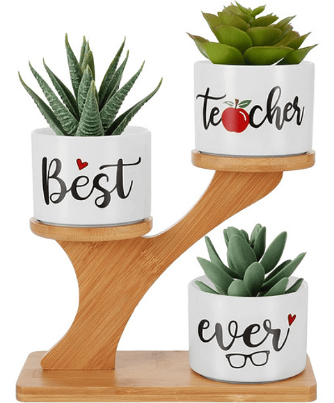 Soporte en Bambu más macetas Cerámica de Plantas x3 Piezas Profesor