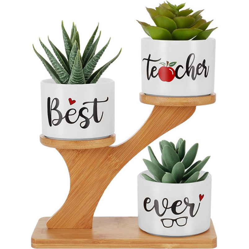 Soporte en Bambu más macetas Cerámica de Plantas x3 Piezas Profesor 1