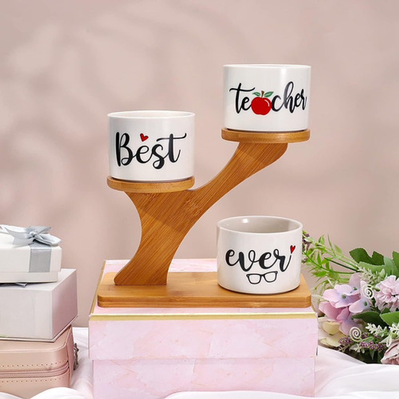 Soporte en Bambu más macetas Cerámica de Plantas x3 Piezas Profesor 5