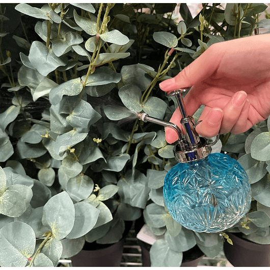 Regadera Plantas Spray En Vidrio Vintage X200ml Rociador 11