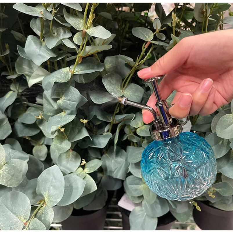 Regadera Plantas Spray En Vidrio Vintage X200ml Rociador 11