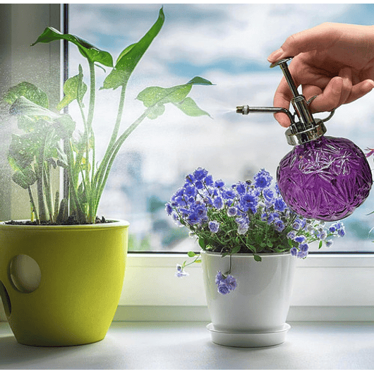 Regadera Plantas Spray En Vidrio Vintage X200ml Rociador 16