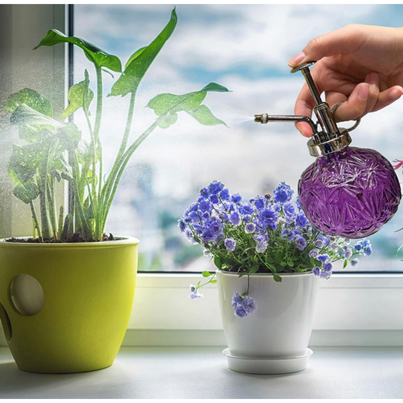Regadera Plantas Spray En Vidrio Vintage X200ml Rociador 16