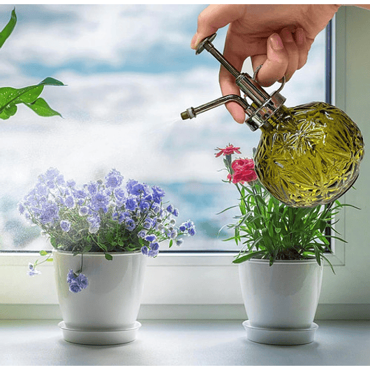 Regadera Plantas Spray En Vidrio Vintage X200ml Rociador 20