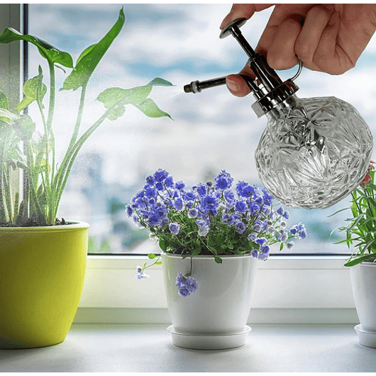 Regadera Plantas Spray En Vidrio Vintage X200ml Rociador 24