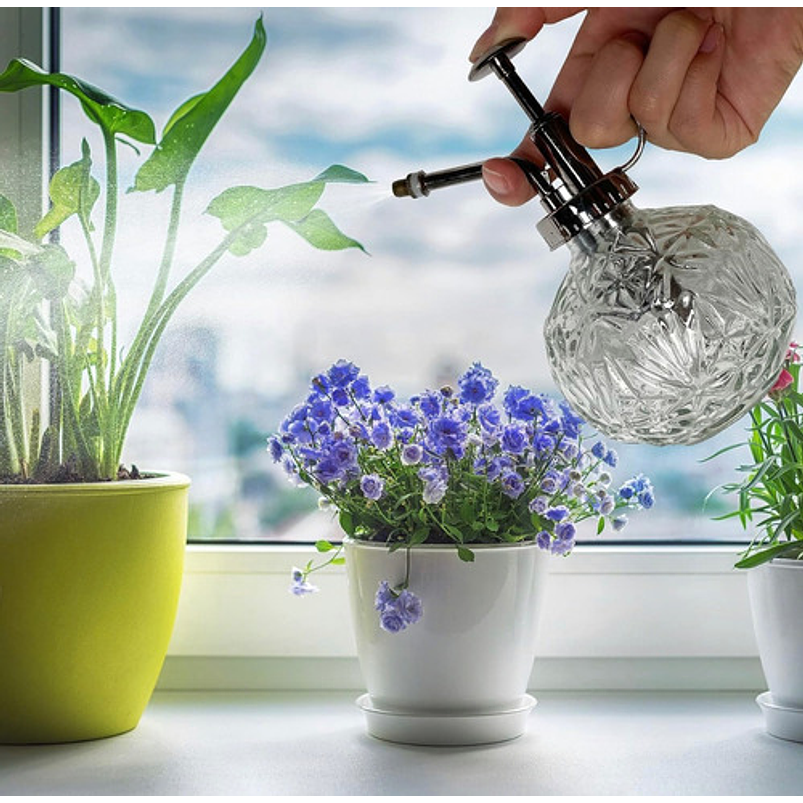 Regadera Plantas Spray En Vidrio Vintage X200ml Rociador 24