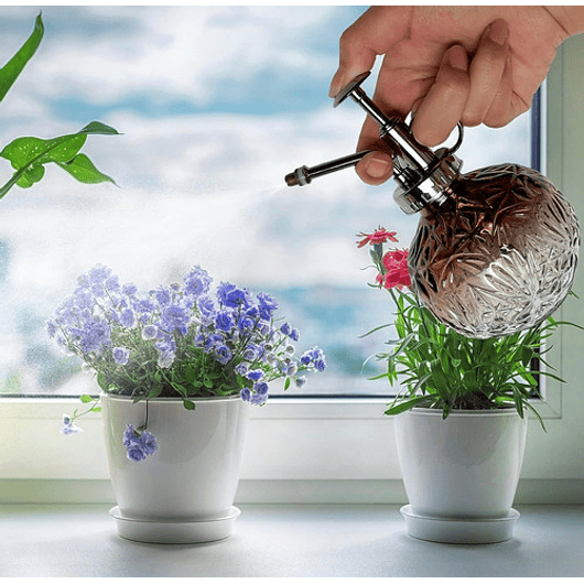 Regadera Plantas Spray En Vidrio Vintage X200ml Rociador 28